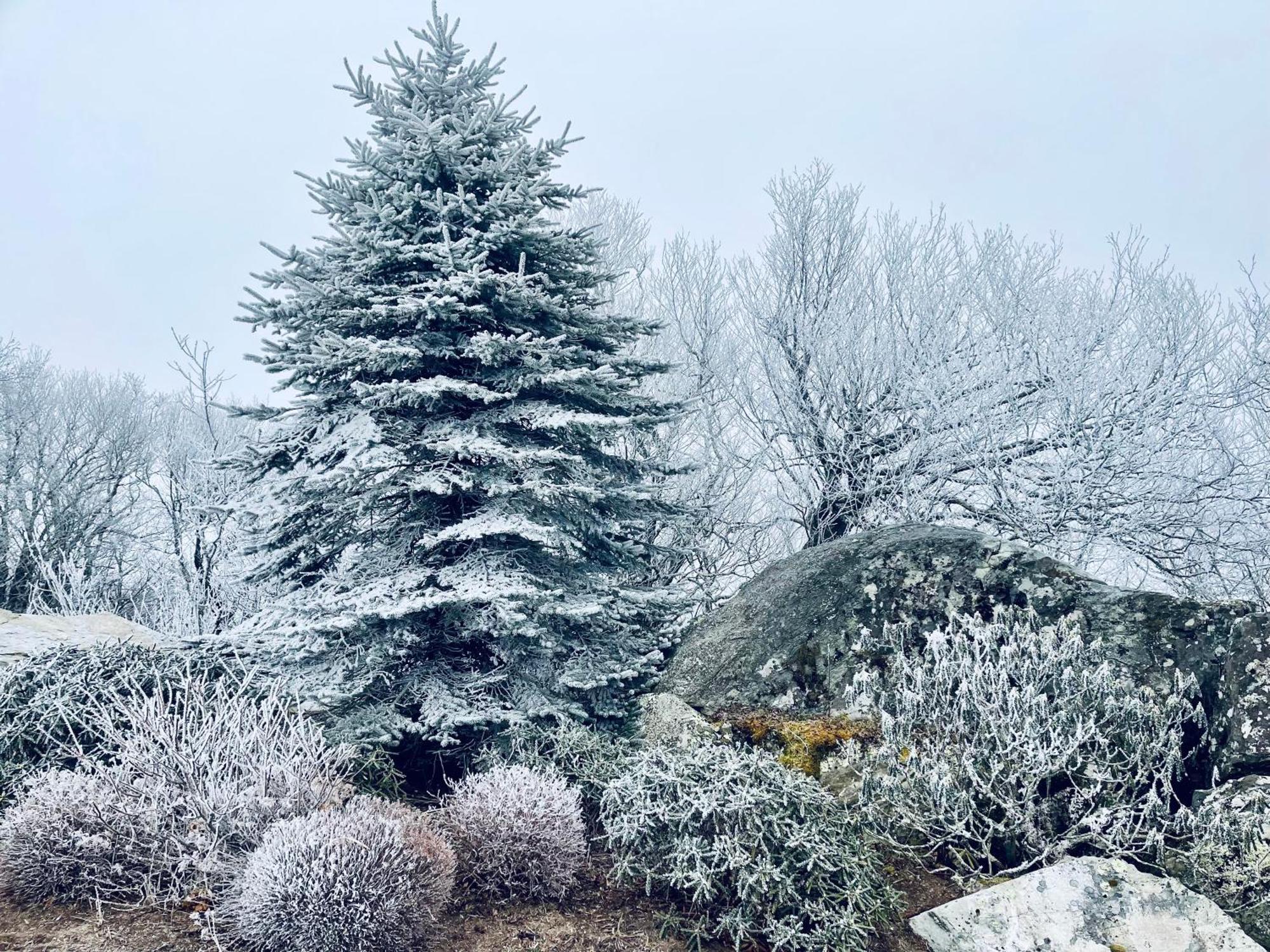 Bucket List Views Sugar Mountain Private Condo - 2Bed, 2Bath, Sleeps 6, Panoramic Views Of Mountains From Large Deck, Short Drive To Shopping, Restaurants, Cafes & Banner Elk Town 외부 사진
